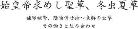始皇帝求めし聖草、冬虫夏草｜補肺補腎、陰陽併せ持つ未解の虫草 その働きと組み合わせ