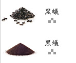 黒蟻