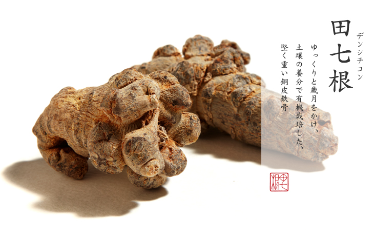 田七根|ゆっくりと歳月をかけ、土壌の養分で有機栽培した、堅く重い銅皮鉄骨