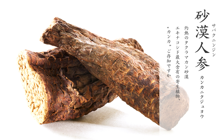 砂漠人参(カンカ) 通販
