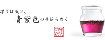 漂うは気品、青紫色の帯揺らめく 漂うは気品、青紫色の帯揺らめく