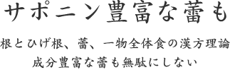 サポニン豊富な蕾も｜根とひげ根、蕾、一物全体食の漢方理論 成分豊富な蕾も無駄にしない