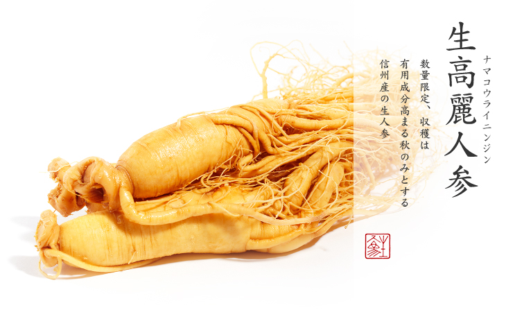 生高麗人参|数量限定、収穫は有用成分高まる秋のみとする信州産の生人参