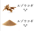 エゾウコギ