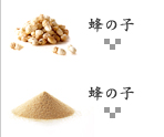 蜂の子