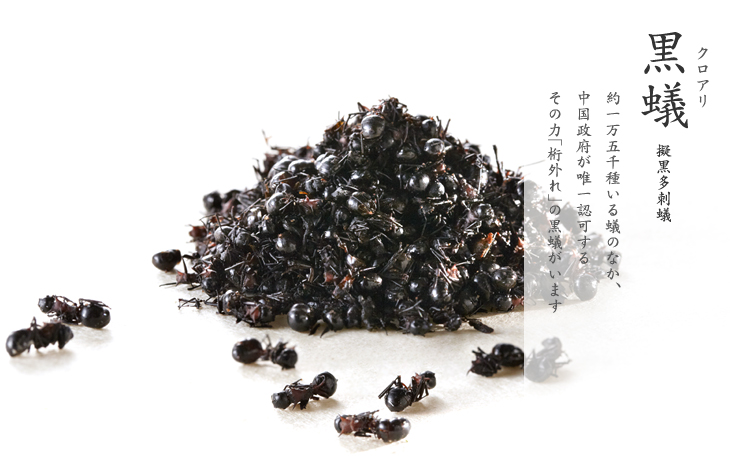 黒蟻粉末 通販