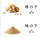 蜂の子