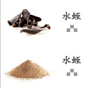 水蛭