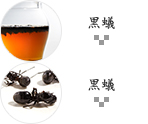 黒蟻
