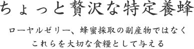 ちょっと贅沢な特定養蜂|ローヤルゼリー、蜂蜜採取の副産物ではなく これらを大切な食糧として与える