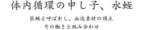 体内循環の申し子、水蛭｜医蛭と呼ばれし、血流素材の頂点 その働きと組み合わせ