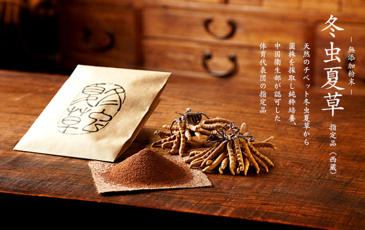 冬虫夏草 通販
