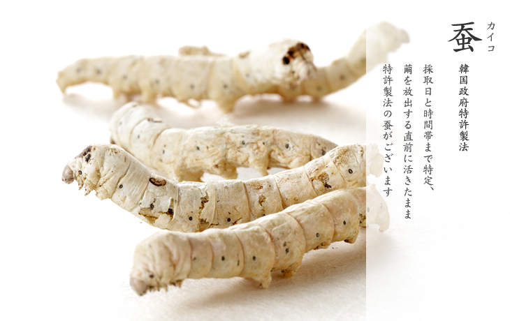 蚕粉末 通販
