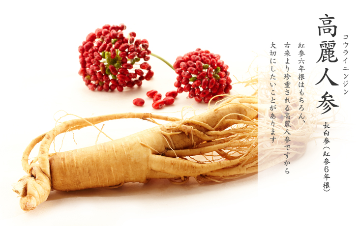 高麗人参(紅参)通販