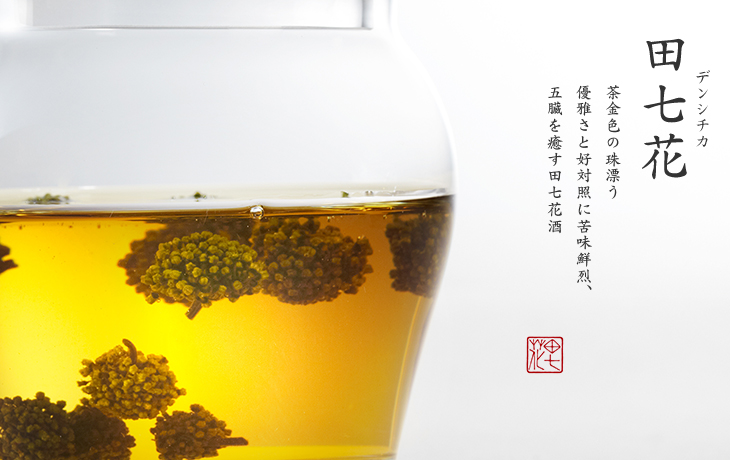 田七花|茶金色の珠漂う 優雅さと好対照に苦味鮮烈、五臓を癒す田七花酒