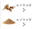 エゾウコギ