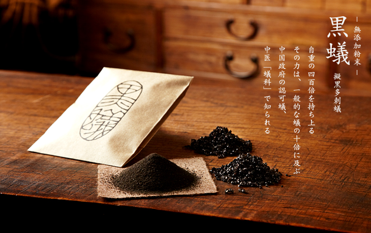 黒蟻粉末 通販