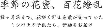 季節の花蜜、百花繚乱｜数ヶ月前まで、花咲く野山を飛び交っていた ミツバチの子供たち、新物をお届け