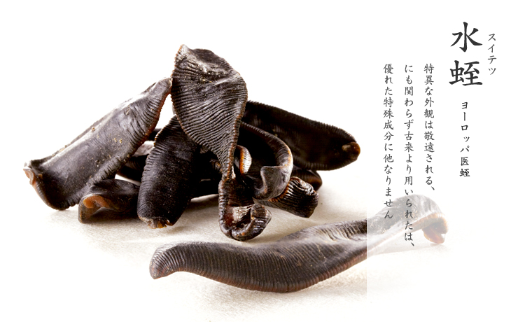水蛭 通販