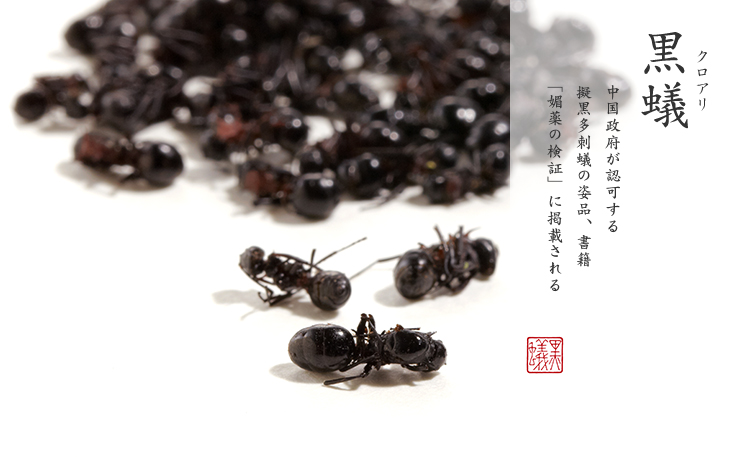 黒蟻姿｜中国政府が認可する 擬黒多刺蟻の姿品、書籍 「媚薬の検証」に掲載される