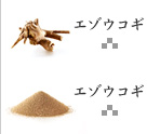 エゾウコギ