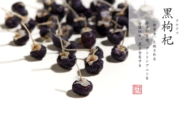 黒枸杞|「軟黄金」と称される 希少野生種、アントシアニンを 全植物中、最多含有する