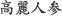 高麗人参