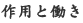 作用と働き