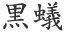 黒蟻