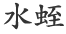 水蛭
