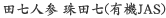 田七人参