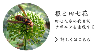 根と田七花