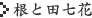 根と田七花