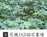 有機JAS認定農場