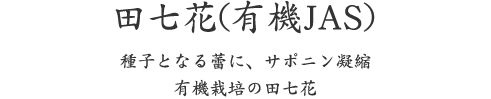 田七花(有機JAS)、種子となる蕾に、サポニン凝縮 有機栽培の田七花