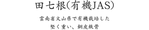 田七根(有機JAS)、雲南省文山県で有機栽培した 堅く重い、銅皮鉄骨