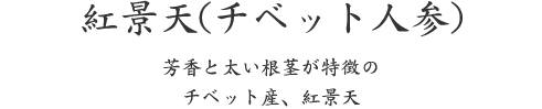 紅景天(チベット人参)、芳香と太い根茎が特徴の チベット産、紅景天