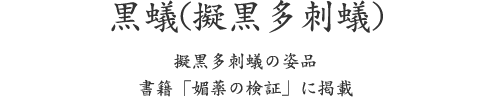 黒蟻(擬黒多刺蟻)、擬黒多刺蟻の姿品 書籍「媚薬の検証」に掲載