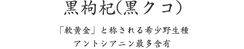 黒枸杞(黒クコ)、「軟黄金」と称される希少野生種 アントシアニン最多含有