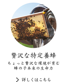 贅沢な特定養蜂