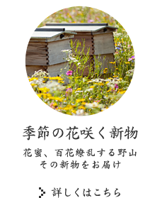 季節の花咲く新物