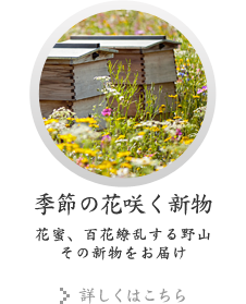 季節の花咲く新物