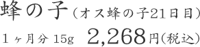 蜂の子 (オス蜂の子21日目) １ヶ月分 15g  2,268円(税込)