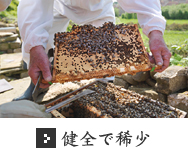 健全で稀少