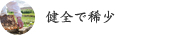 健全で稀少