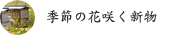 季節の花咲く新物