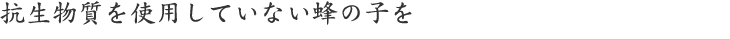 抗生物質を使用していない蜂の子を