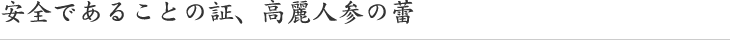 安全であることの証、高麗人参の蕾