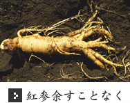 紅参余すことなく