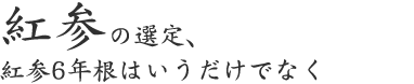 紅参の選定、 紅参6年根はいうだけでなく